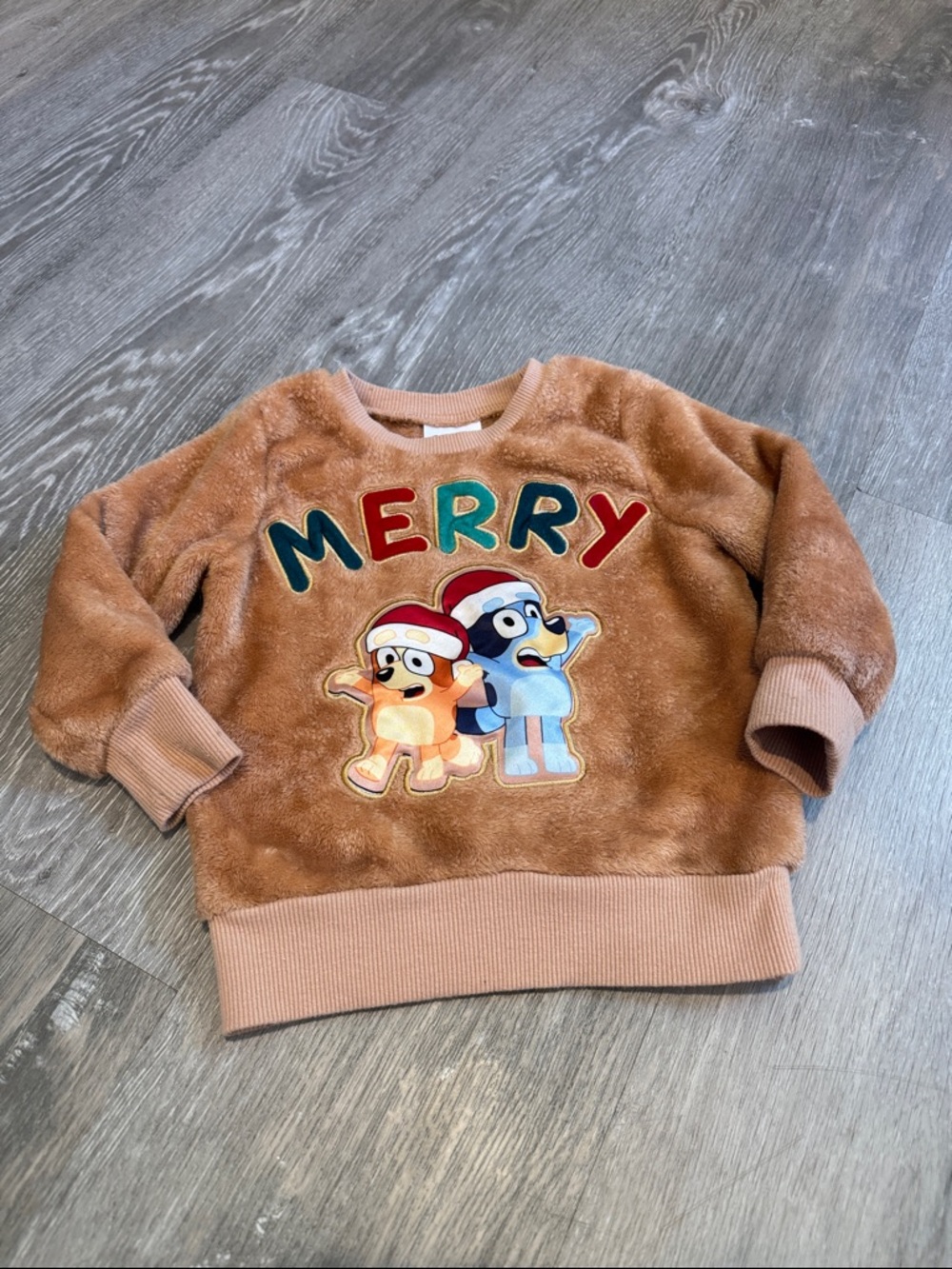 2T Bluey “Merry” sweatshirt